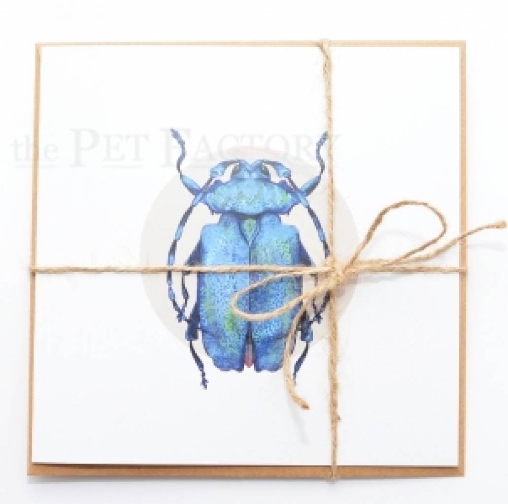 Square Card Blue Longhorn Beetle